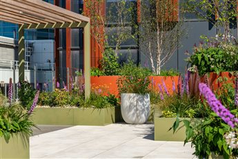 Steel Powder Coated Planters at 54 Wilson Street 