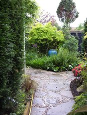 shade planting