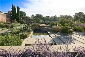 Andy Sturgeon FSGLD - The The Mediterranean Garden, Beningbrough.  Photograph © Mischa Haller