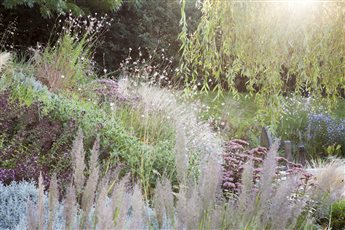 Sedlescombe Primary School Sensory Garden winner of the SGD 2021 Judges Award and 'Design for the Environment Award'. A drought tolerant, low maintenance, wildlife friendly gravel garden. Photo Credit: Abigail Rex