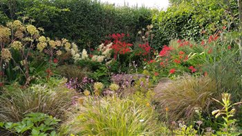 Fire circle area in late July in Kristina's own garden which is open annually for the National Garden Scheme in the 'Waterworks & Friends Group'. 