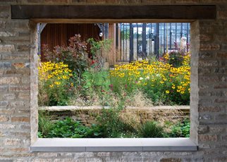 stone window vignette with rudbeckia