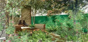 Elizabeth Wheeler - Out of the City, into the Woods - British Academy of Garden Design