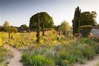 Knepp Rewilded Garden, Sussex designed by Tom Stuart-Smith in combination with James Hitchmough and Mick Crawley
