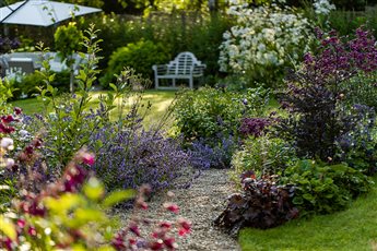 Flowing garden - Plants and relaxation areas blend effortlessly.