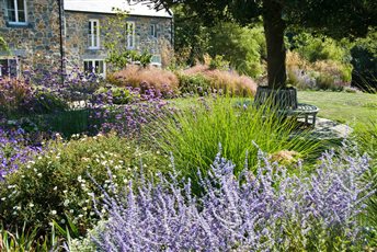 Wispy and colourful grasses and perennials contrast with the hard granite walls in this Guernsey garden 