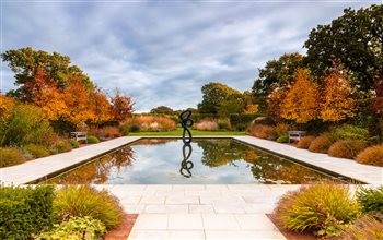 Large Country Garden New Forest