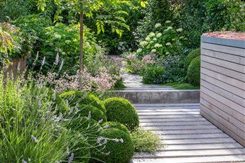 Winner of the SGD Planting Design Award 2020