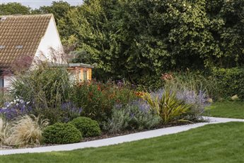 Mixed planting by accessible path, Box 