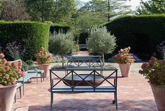 Courtyard Garden - Langton Green 