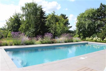 Pool with a view