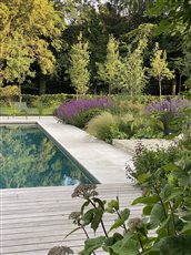 Recycled pool garden framed by prairie and shrub borders, this 1970's pool was given a new life with green mosaic glass tiles and pared back hardscapes all framed by soft textual planting.