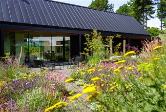 A coastal  garden in East Lothian with dry loving shrubs & perennials planted in sand. There are a variety of spaces to sit in this space, this is the sunny morning patio. 