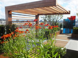 Chelsea Creek Roof Terraces - Award Winning Garden Design by Aralia. Photo: Copyright Aralia