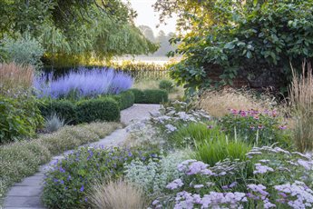Sweeps of grasses and perennials line the path that leads out to the field beyond - voted the Nations favourite Garden in 2021 by the NGS and The English Garden magazine