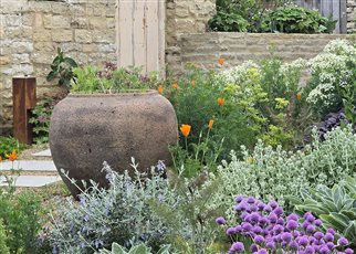 stone pot within the gravel garden