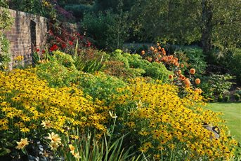 Late summer border of rudbeckia, Dahlia and Crocosmia - yellow, reds and orange.