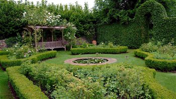 Classic rose garden
