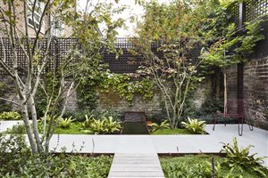 Adolfo Harrison MSGD - Shepherd's Bush Courtyard - Photo Mischa Haller