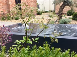 Mediterranean Courtyard, Leicestershire
