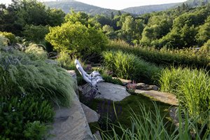 Peter Berg MSGLD - Lodge Garden
