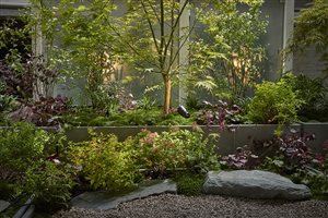 Winner: Haruko Seki, Project: A Private Patio in Marylebone, Image: Alister Thorpe