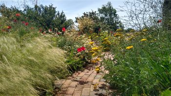 A wildlife friendly Eco house garden designed with resident bats in mind, local and reclaimed materials, bio-diverse, low carbon, drought tolerant this garden won the 'Design for the Environment' SGD Award 2022.