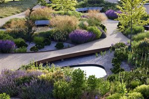 Winner: Matt Keightley MSGD - Project: RHS Wisley - The Wellbeing Garden - Image Alister Thorpe