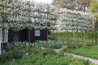 Gate house - Buckinghamshire