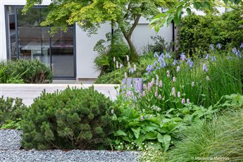 Garden Design in Muswell Hill, on a steeply sloping site.