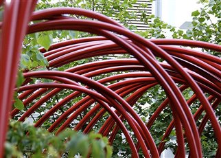 RHS Chelsea Flower Show 2011
British Heart Foundation