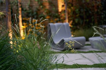 South London garden