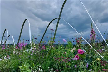 Gold medal winning Long Border 'The Healing Power of Scent' at RHS Chatsworth Flower Show 2019. Photo credit: Rachel Bailey
