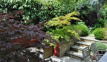 Town garden on three levels with seasonal planting.