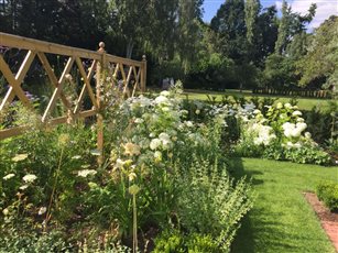 Small corner of 'The White Garden'
Images show the garden in it's first summer