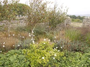 Dorset Large Country Garden