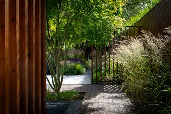 Denbighshire - Contemporary  Garden