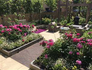 BALI Award winning garden 'Hill Top Farm' with colourful ground cover Thymes, Rosa 'Princess Anne' and Alliums.