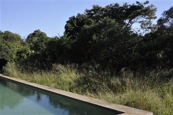 The pool at Ol Losowon