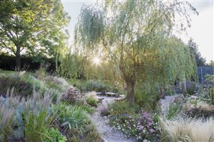 Kristina Clode - Sedlescombe Primary School Sensory Garden - Photo Abigail Rex