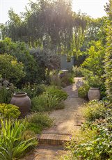 Cambridge Dry Garden