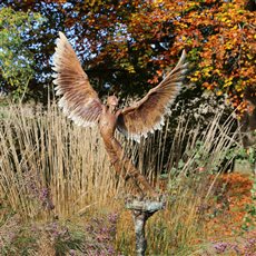 'Icarus IX' is a bronze limited edition sculpture that stands at 2.30m tall. The autumn colours surrounding this piece realy compliment the patina.