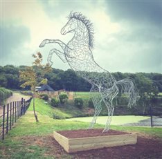 Rearing Horse Sculpture - Zinc