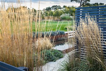 Upright Calamagrostis grasses contrast with the horizontal slatted fence in this contemporary country garden in Kent 