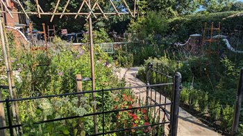 Formal front garden for a Georgian farmhouse in Tilmanstone, Kent. Quartered paths with romantic rose and perennial parterre beds edged with a low hedge. Pleached crab apple trees and estate metal fence.