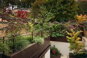 Stefano Marinaz Landscape Architecture, Principal Designer Stefano Marinaz MSGLD - Where Indoors Meets Autumn.  Photograph © Gary Morrisroe