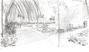 Jake Sutcliffe - Cambridge Cottage - Swale Garden - London College of Garden Design