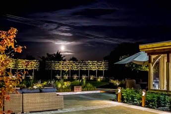 Garden at night Sheffield