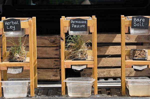 Beyond horticultural borders