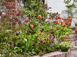 Ann Marie-Powell Gardens Ltd, Principal Designer Ann-Marie Powell MSGD - Shepherd's Cottage - Photo Rachel Warne